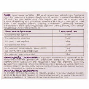 Диетическая добавка на растительной основе Синудафен капсулы 3 блистера по 10 шт