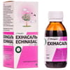 Эхинасаль сироп фл. 125г