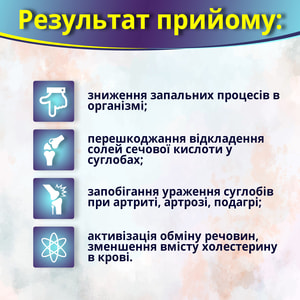 Капсулы для улучшения работы мочеполовой системы Урисан 60 шт