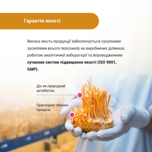 Кордицепс супер капсулы по 400 мг флакон 60 шт