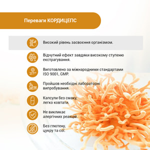 Кордицепс супер капсулы по 400 мг флакон 60 шт