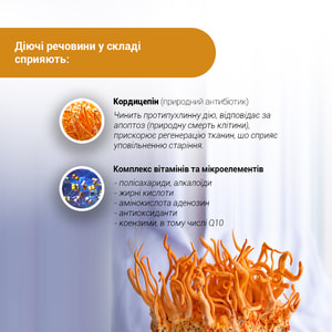 Кордицепс супер капсулы по 400 мг флакон 60 шт