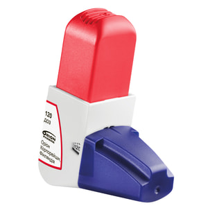 Буфомикс Изихейлер пор. д/инг. 160мкг/4,5мкг/доза ингал. 120доз